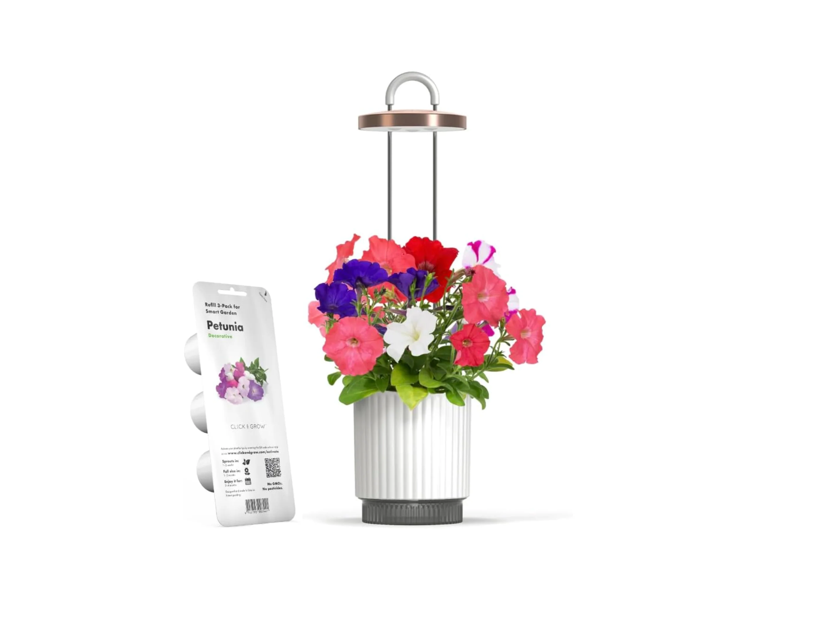 SALE Black Friday 2025 all discounted products