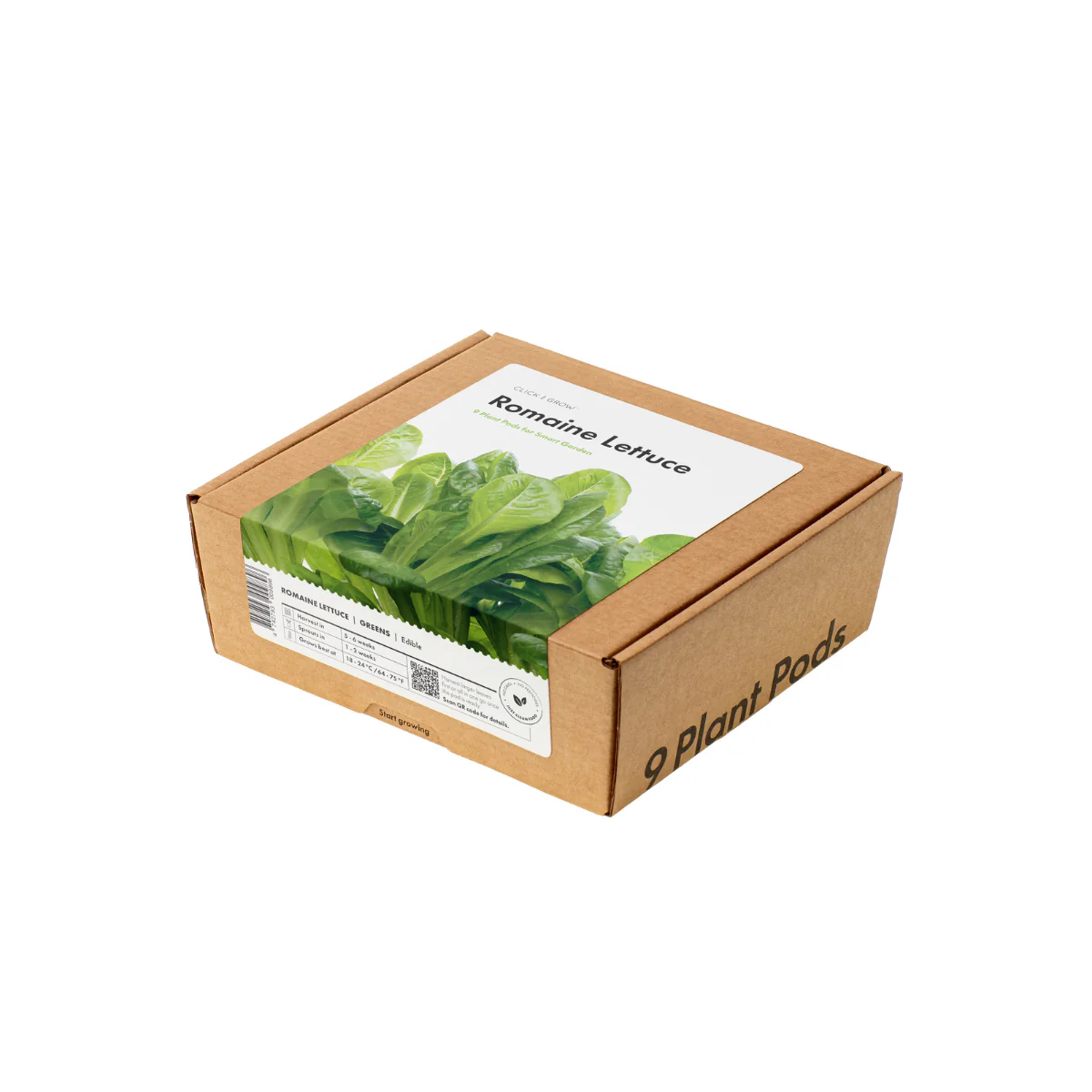 SALE Summer Sale 2025